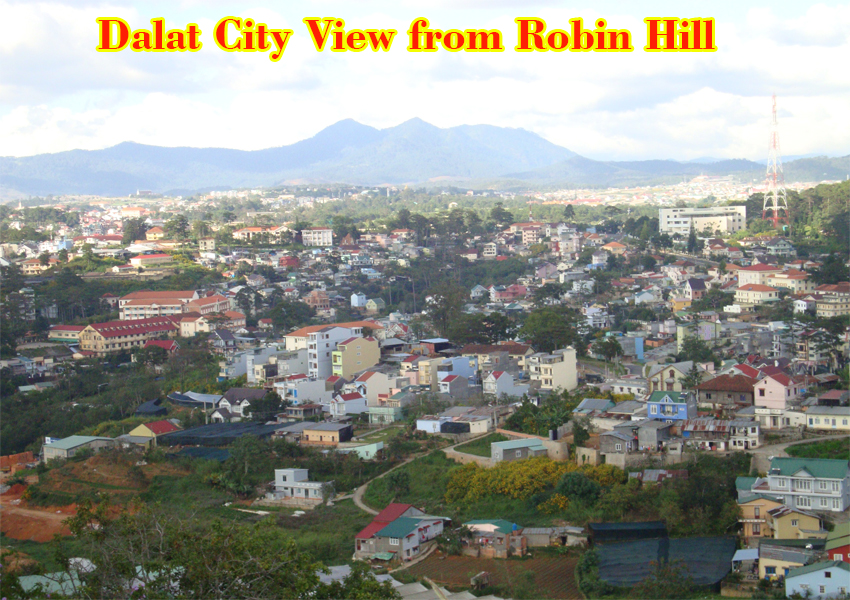 Robin-hill-Dalat-1