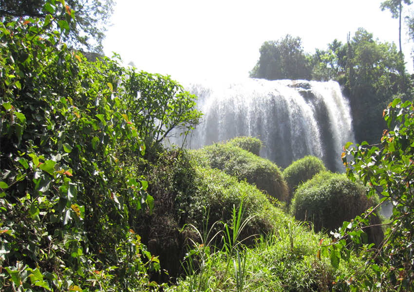 Elephant-waterfall
